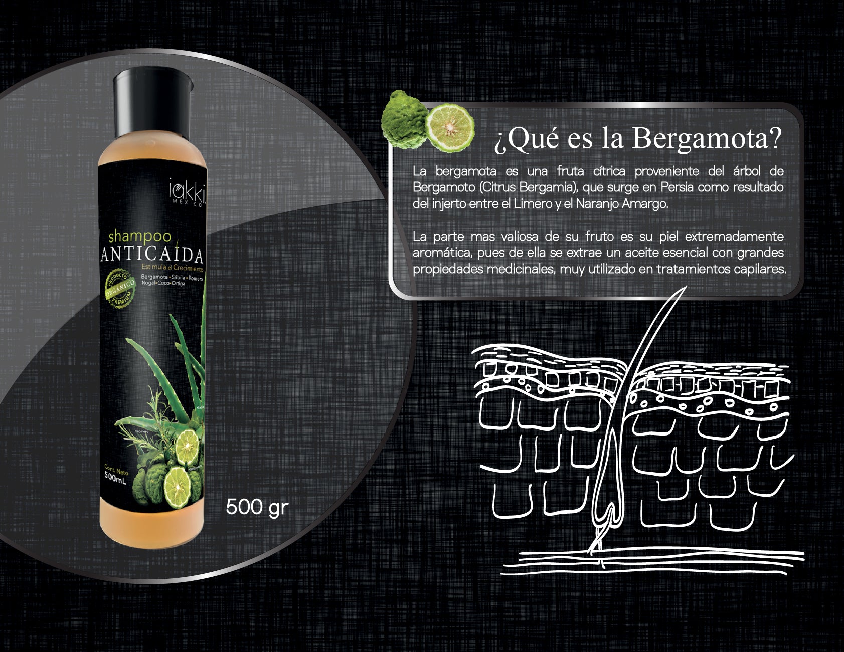 Shampoo Anticaída